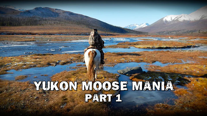 CITR1102-Yukon Moose Mania Part 1 (Teaser)