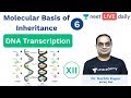 Molecular Basis of Inheritance - L 6 | DNA Transcription | Unacademy NEET | Biology | Sachin Sir