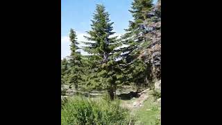 Daglara Dogru Resimi