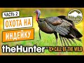 theHunter Call of the Wild #2 🦃 - Охота на Индейку - Заказник "Серебряные Вершины"