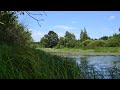 [12 Hours] Soothing sounds of nature. The croaking of a frog and the wind on a forest lake