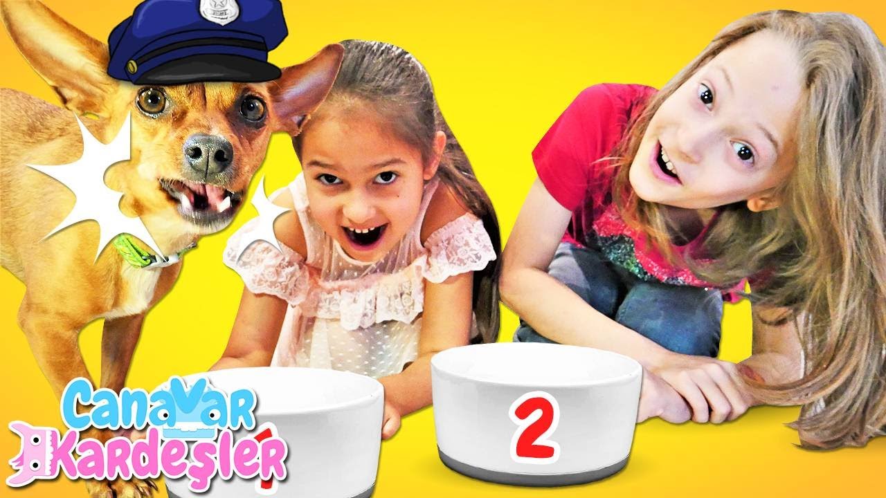 Çocuk videoları. CANAVAR KARDEŞLER -  Köpek Panço ne seçecek? Eğlenceli challenge oyunu!