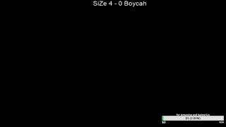 Size vs Boycah Bo13 Tox mirror
