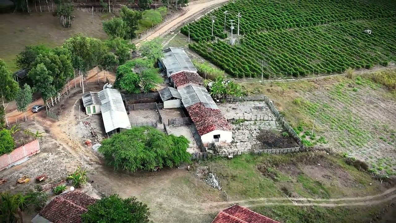 🏡 FAZENDA BELA VISTA – INVESTIMENTO SEGURO EM SAIRÉ/PE 🌿