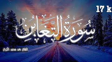 سورة التغابن بصوت رعد محمد الکردي#quran #رعد_الكردي