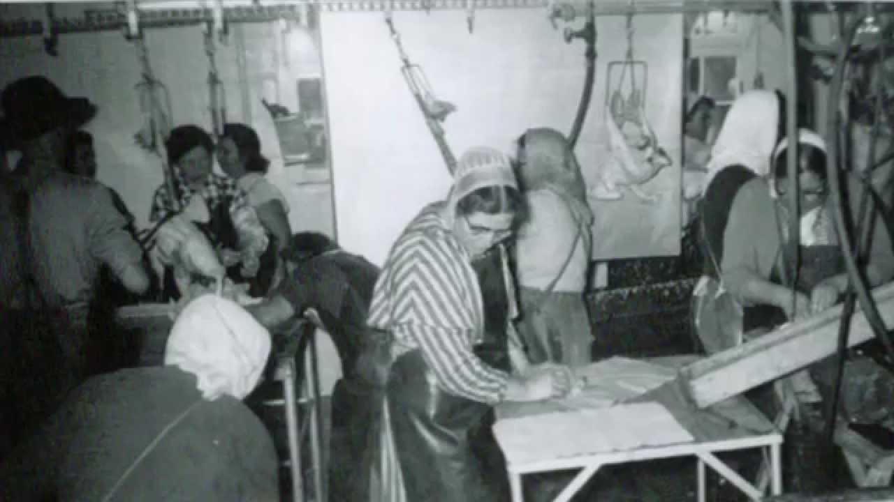 The History of Bowman & Landes Turkeys YouTube