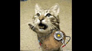 (Meowsynth) Want you gone  Portal 2