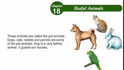 Environmental Studies Class 2 Chapter 18,Useful Animals,Part01