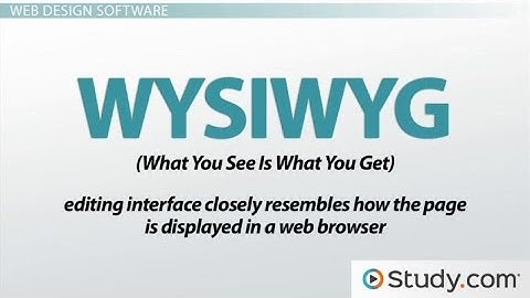 PSEB Class 10 Chapter 6 Desktop Publishing Part 1 Punjabi Medium Lecture 4 What is WYSIWYG