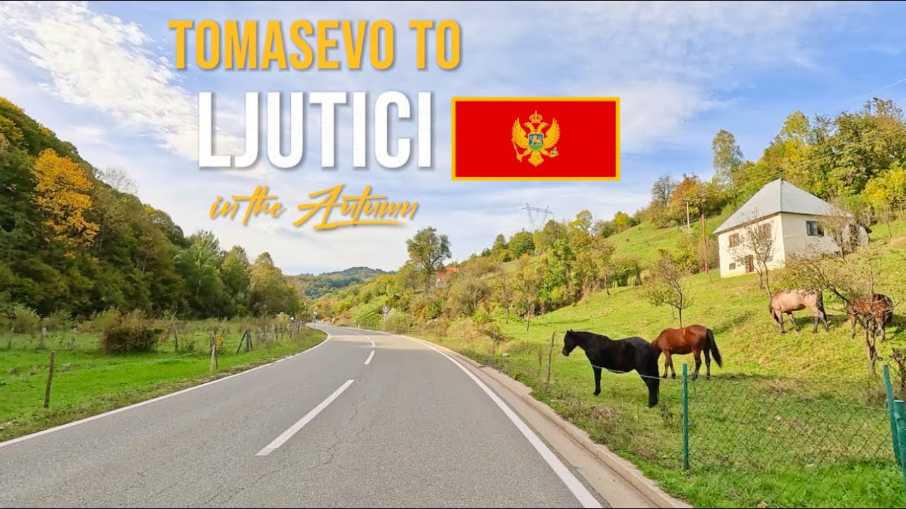 Scenic Drive in Montenegro 🇲🇪From Peaceful Tomaševo to the Mountain Charm of Ljutići October 2024