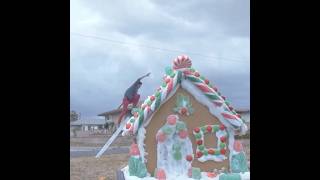 My Biggest Ginger Bread House 