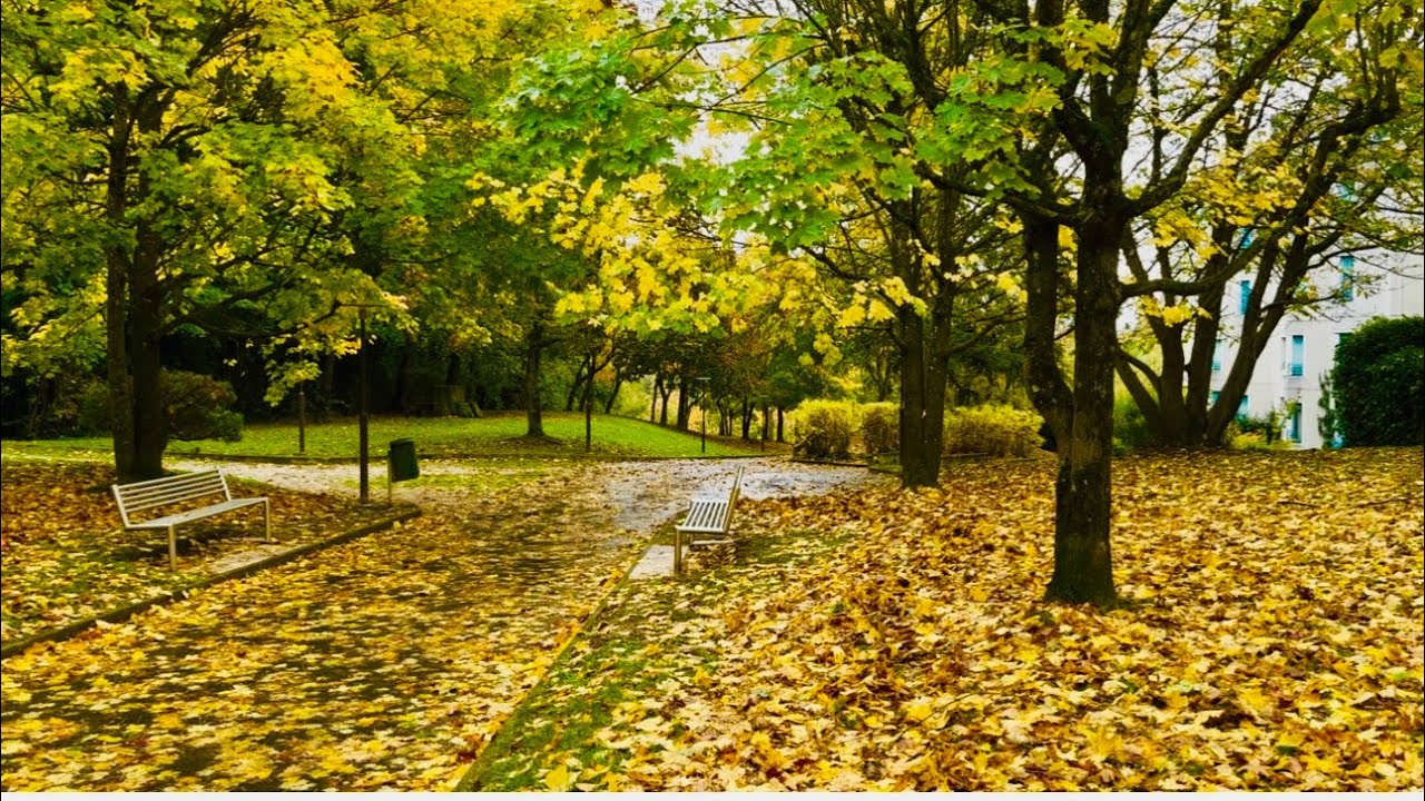 Switzerland walking tour 🇨🇭| ￼natural beauty winter is coming beautiful experience 