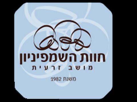 וִידֵאוֹ: איך בוחרים שמפיניון