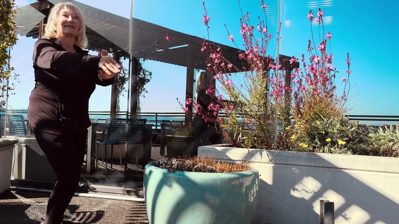 Tai Chi Basic 24 - with Reflection