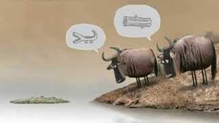 Funny Wildebeest Animated Video - Frankitude