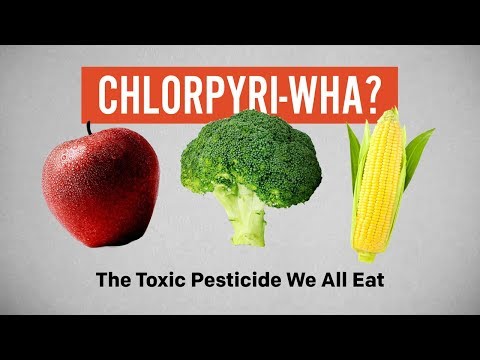 Chlorpyrifos : The Toxic Pesticide We All