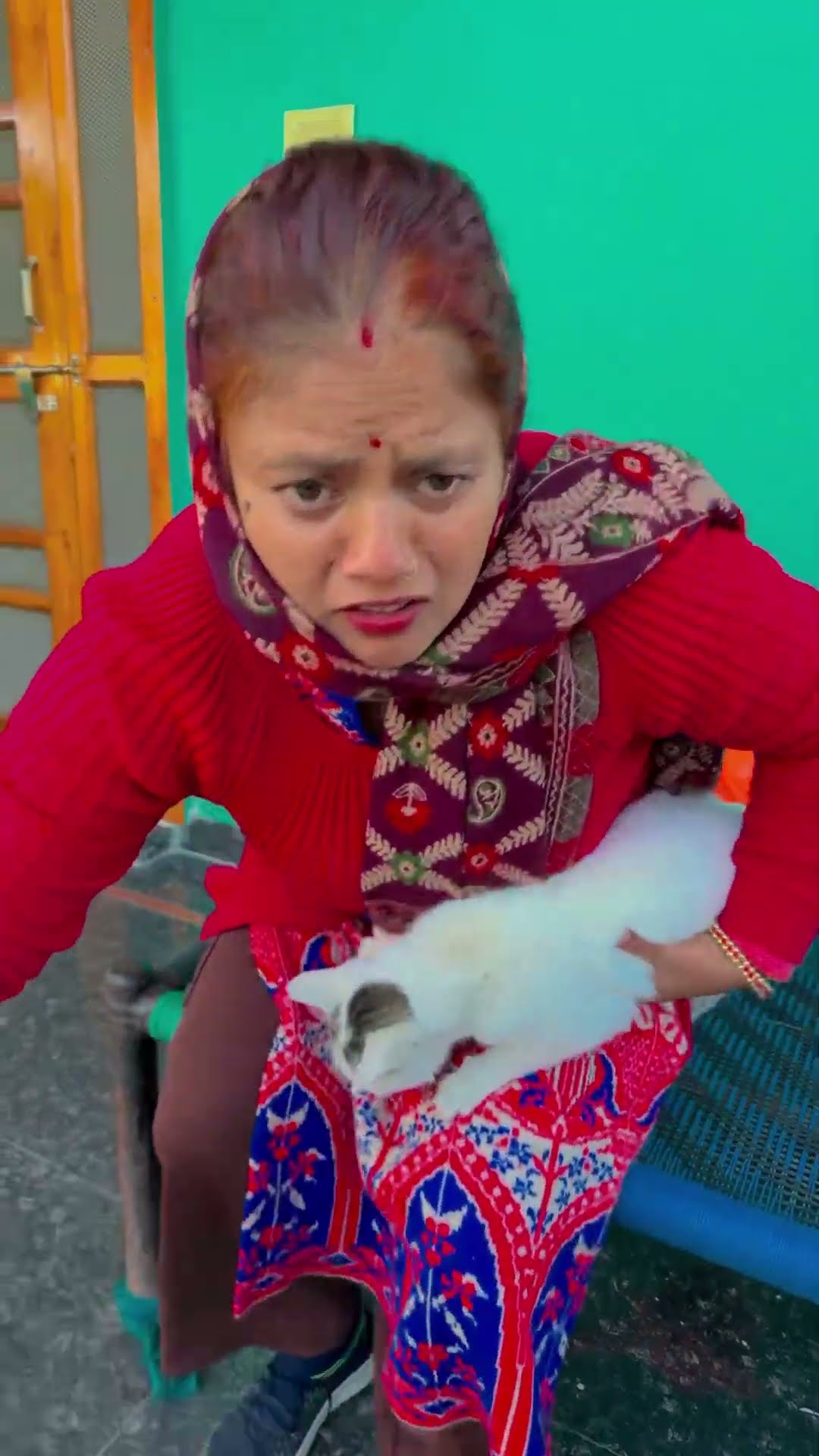 Udja Kale Kawan ?? #shorts #love #ytshorts #trending #gadar #funny