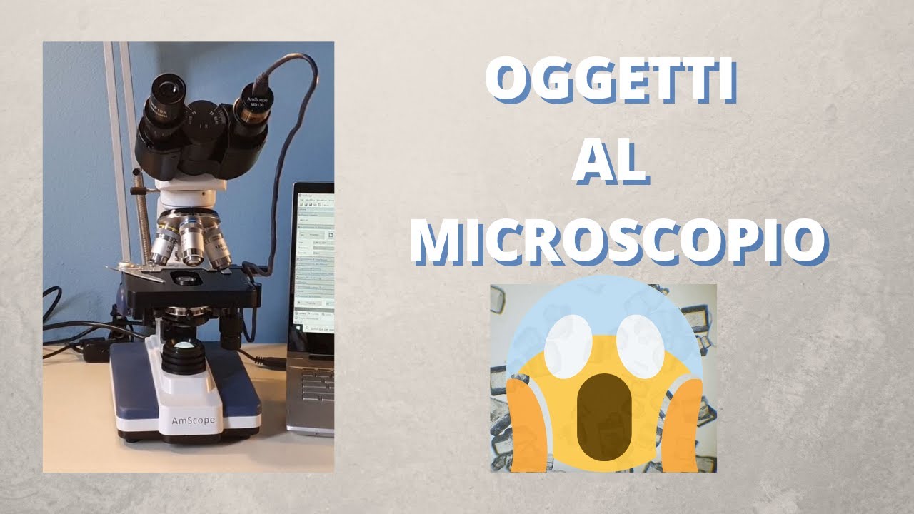 Scaffale E Barattolo Per Colorazione Microscopio - Polipropilene - 24 Posti - Per Vetrini - Foto 4