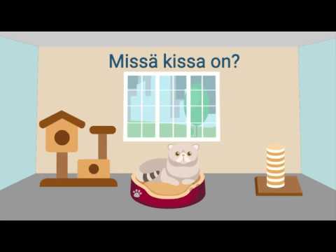 Video: Missä ovat kyselypronominit?