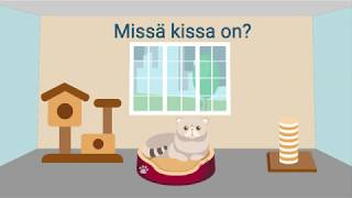 Missä kissa on? | Suomen kieli Katjan kanssa