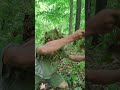 Emergency Ghillie Hood in Under 5 Minutes, All Natural Materials