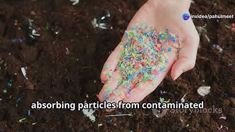 Microplastics - The Invisible Threat