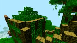 Minecraft - More village derp.