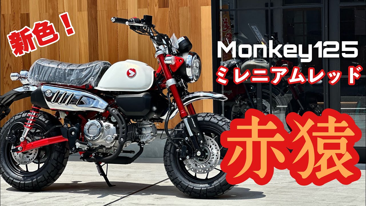 モンキー125 JB05(ホンダ) / 愛媛県 ライダースクラブはなやま 中古
