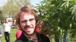 Capital Canna News Promo