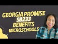 Georgia Promise Scholarship Act: A Game-Changer for Microschools