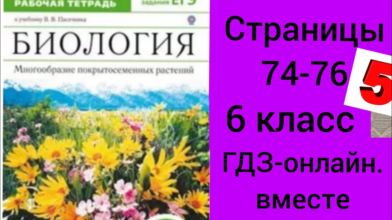 Биология 10 11 класс рабочая тетрадь пасечник. Растения биология 6 класс. Биология 8 класс учебник Пасечник. Биология 6 класс Пасечник рабочая тетрадь фотосинтез. Биология 5 класс рабочая тетрадь параграф 19 стр 53.