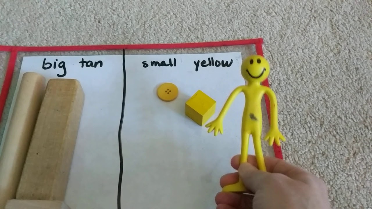 April 14 sorting by more than 1 attribute with Mrs. Stroika - YouTube