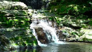 The sound of a flowing stream calms the mind and reduces fatigue every time you listen to it