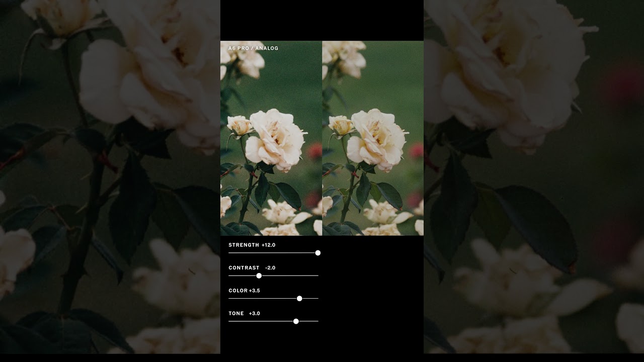 STUDIO.VSCO.CO — Add your final touches in VSCO Studio on desktop