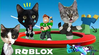 EL ULTIMO EN SALIR DEL CIRCULO GANA! en Roblox jugando gatitos Luna y Estrella / Gameplay en español