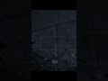 Alberta Hunter "You Can't Tell the Difference After Dark" soundtrack  Mimic 3: Sentinel " Мутанты 3