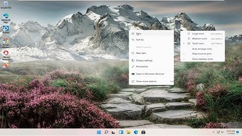 Make Desktop Icons Bigger Or Smaller On Windows 11 [Tutorial]