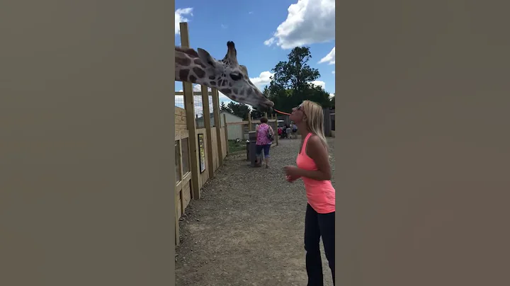 Jenell meets Oliver the Giraffe!