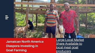 The Jamaican Diaspora Investing in Goat Rearing