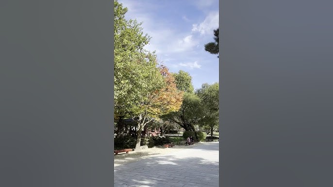 이미지 미리보기