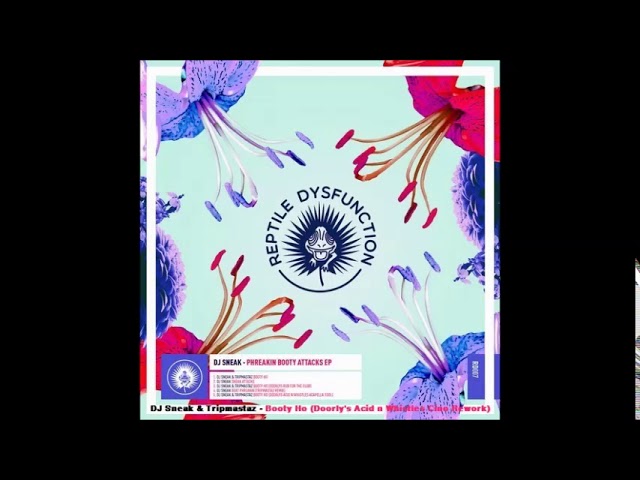 DJ Sneak & Tripmastaz - Booty Ho Doorly's Acid n Whistles (Cino Rework) (Edit)