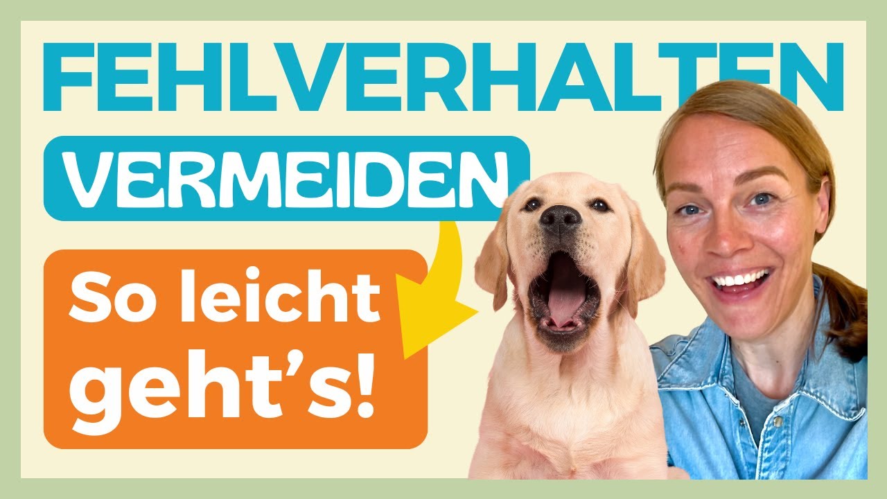 🫣 90% der Hundebesitzer fördern unbewusst Fehlverhalten, inkl. Leinenaggression. Du etwa auch? 😬