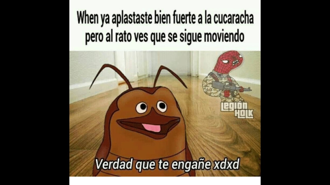 Que significa ver una cucaracha en casa