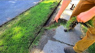 Complete STRANGER Gets Full Lawn Service At NO CHARGE