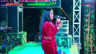 CUP CUP SELLY PRAWOTO - SHAKILLA MUSIK - MEMPERINGATI HUT RI KE 79 WARGA RT 20 RW 04 JAMBU JEPARA