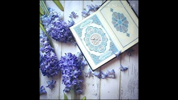سورة العاديات بصوت الشيخ ناصر القطامي