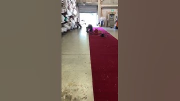 Carpet Whipping & Binding