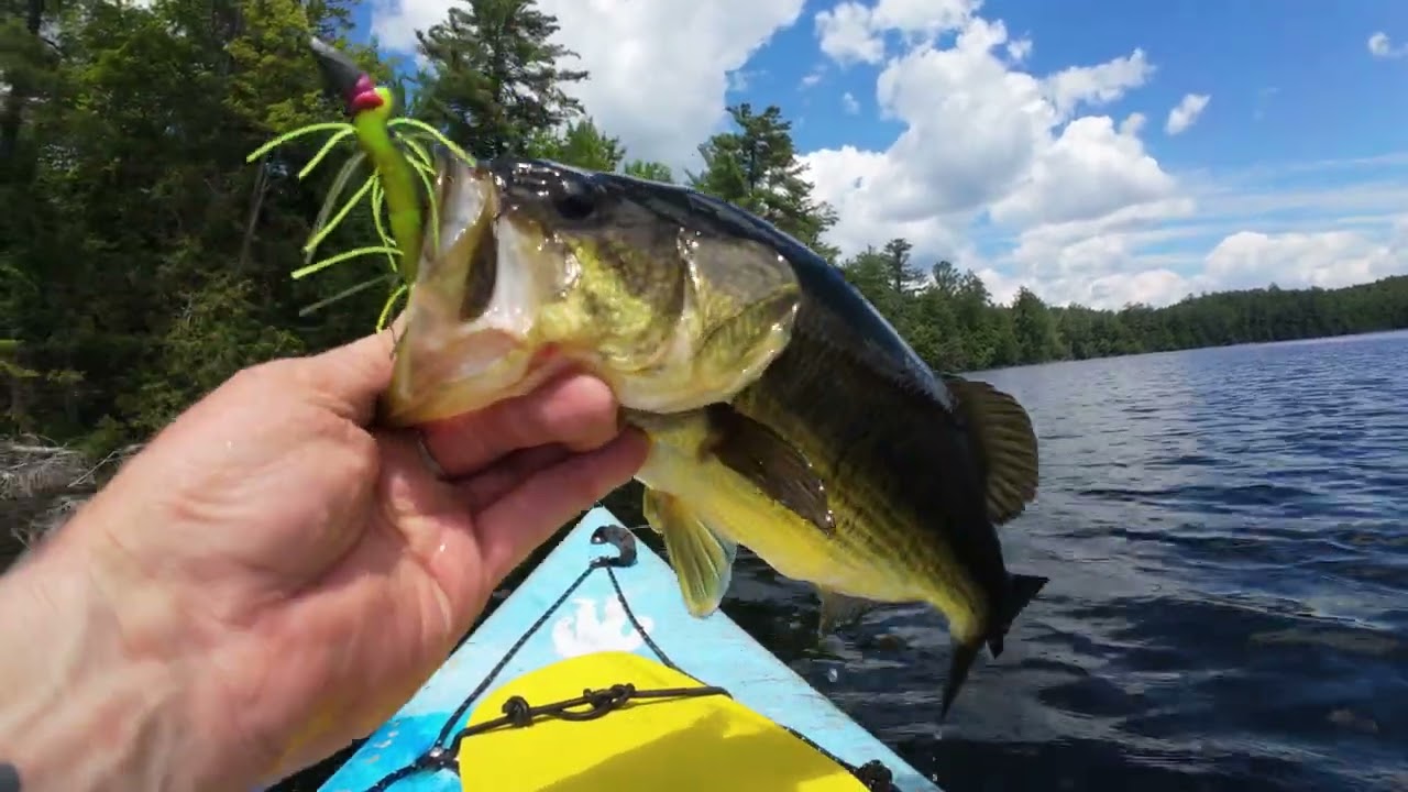 Back Woods Bass Fishing