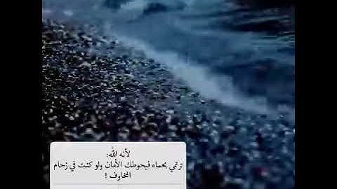 من عمل صالحاً من ذكر او انثى | تلاوه رائعه للقارئ عبد الرحمن مسعد