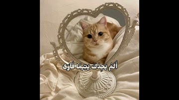 قرآن كريم سورة الضحى(أجر لي ولكم )